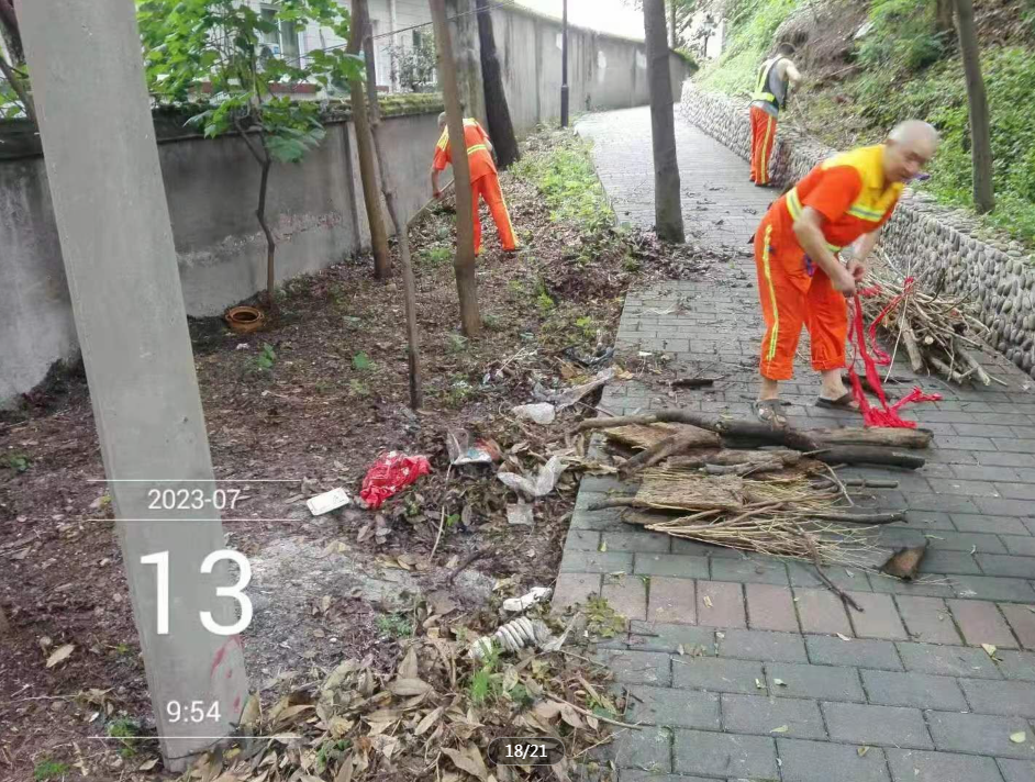 规建环办.png